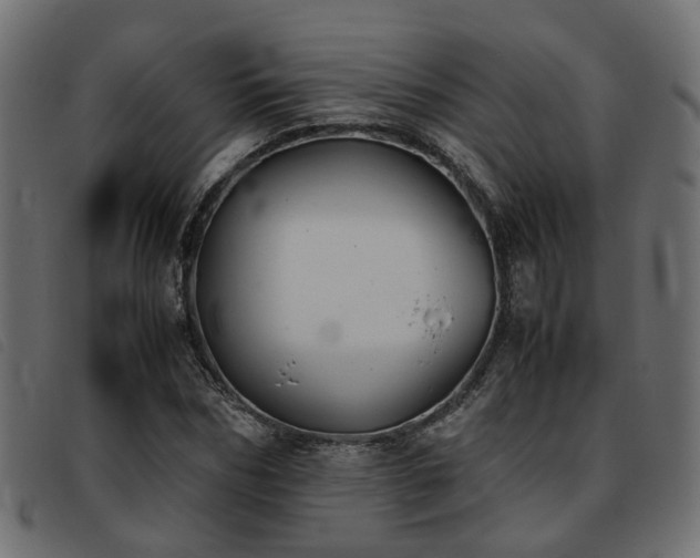 X0000093590970200710151201