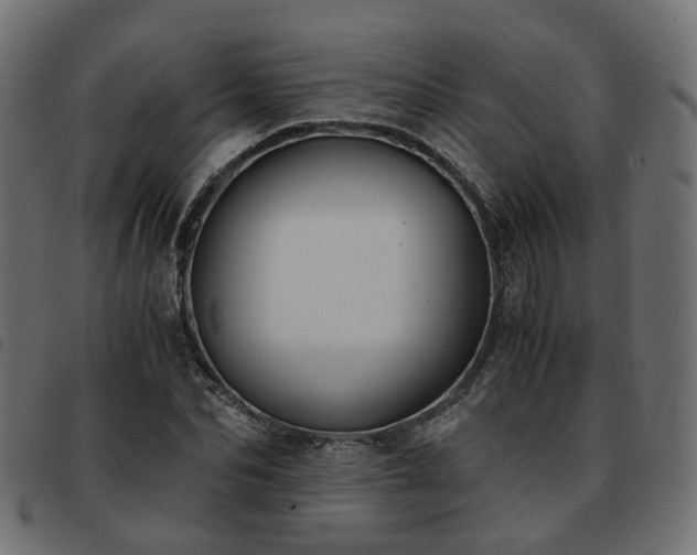 X0000093590974200710151201