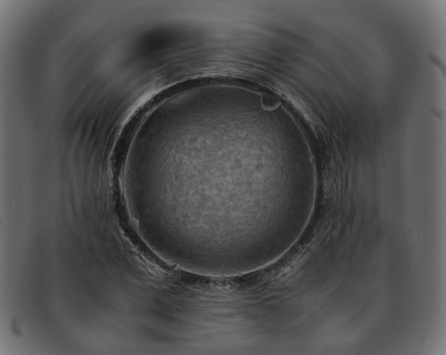 X0000093590975200710151201