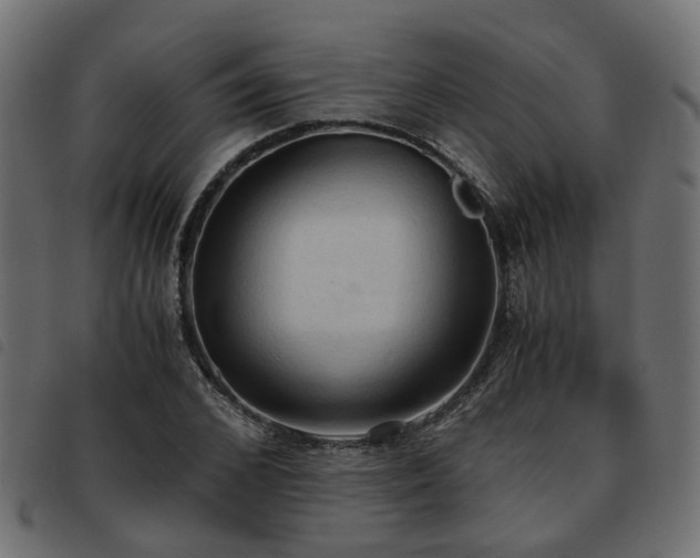 X0000093590976200710151201