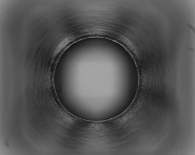 X0000093590978200710151201