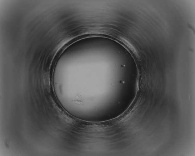 X0000093590980200710151201