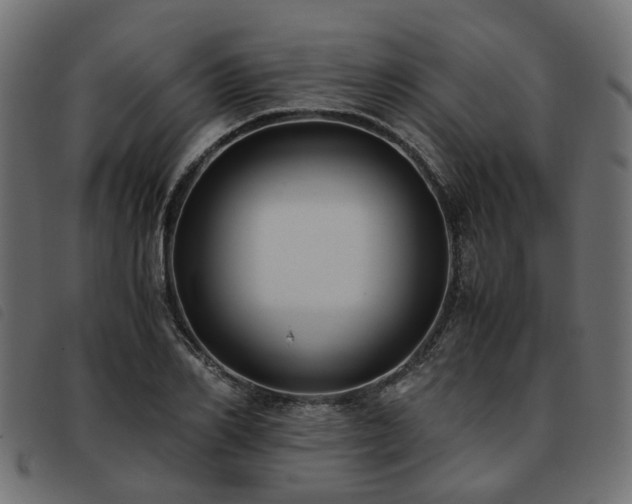 X0000093590982200710151201