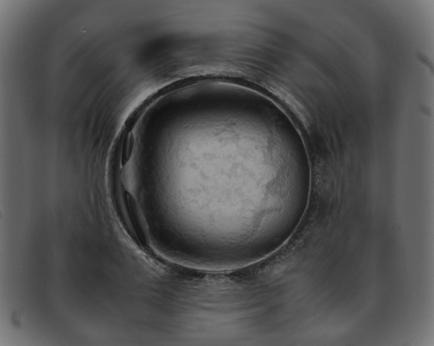 X0000093590983200710151201