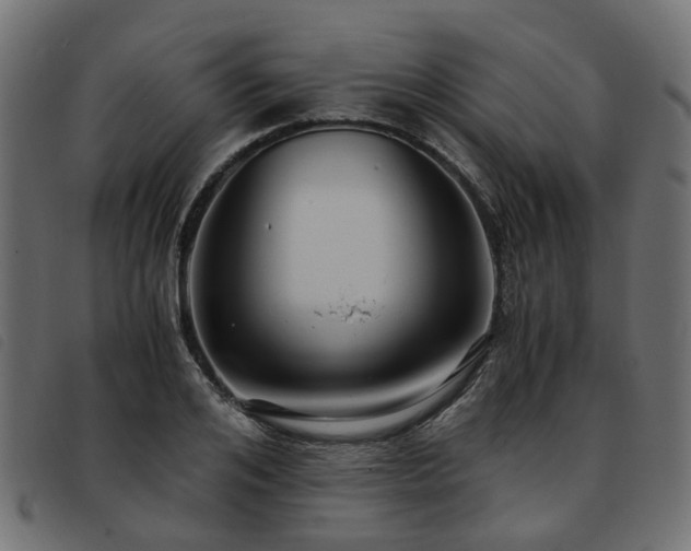 X0000093590984200710151201