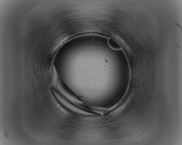 X0000093590985200710151201
