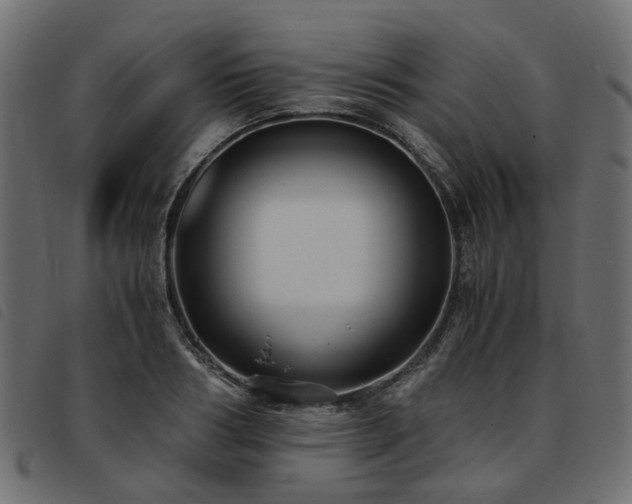 X0000093590986200710151201