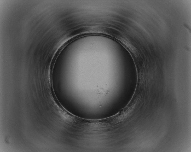 X0000093590988200710151201