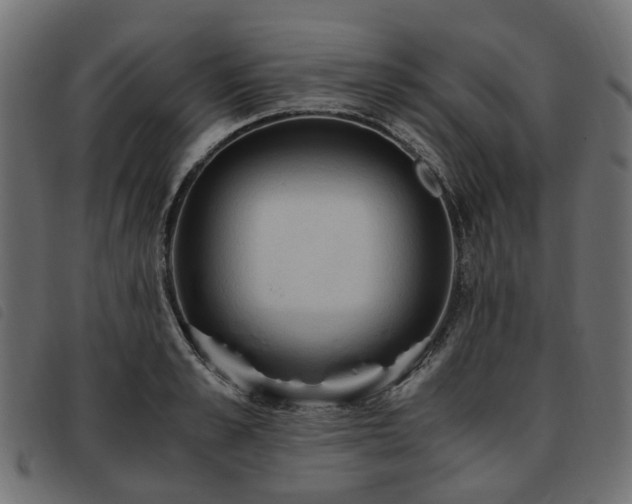 X0000093590989200710151201