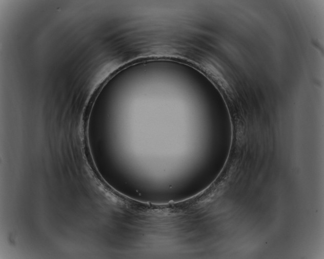 X0000093590990200710151201