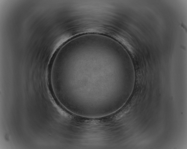 X0000093590991200710151201