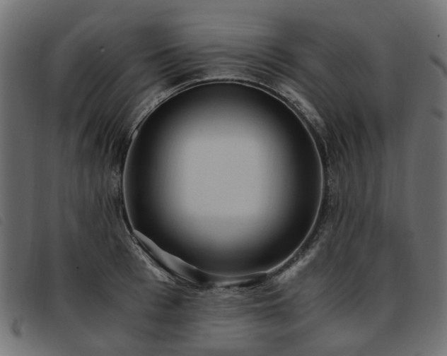 X0000093590993200710151201