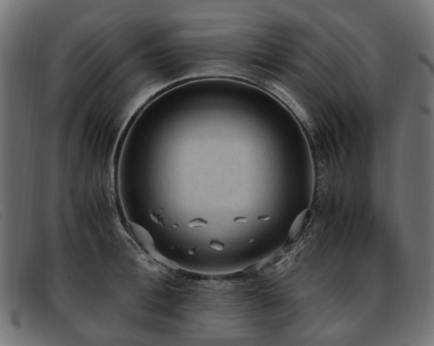 X0000093590996200710151201