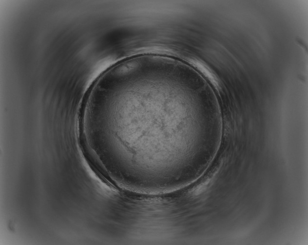 X0000093590999200710151200
