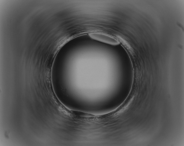 X0000093591001200710151200