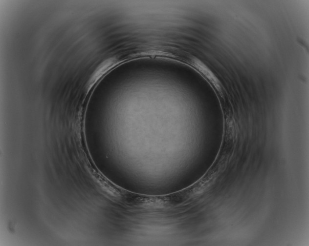 X0000093591002200710151200