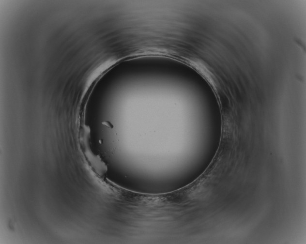 X0000093591003200710151200