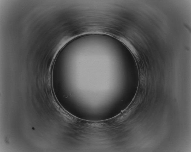 X0000093591004200710151200