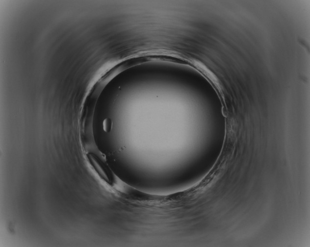 X0000093591005200710151200