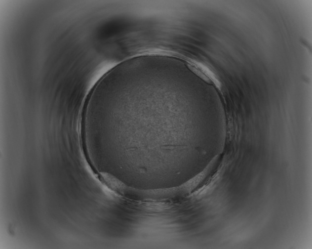 X0000093591007200710151200
