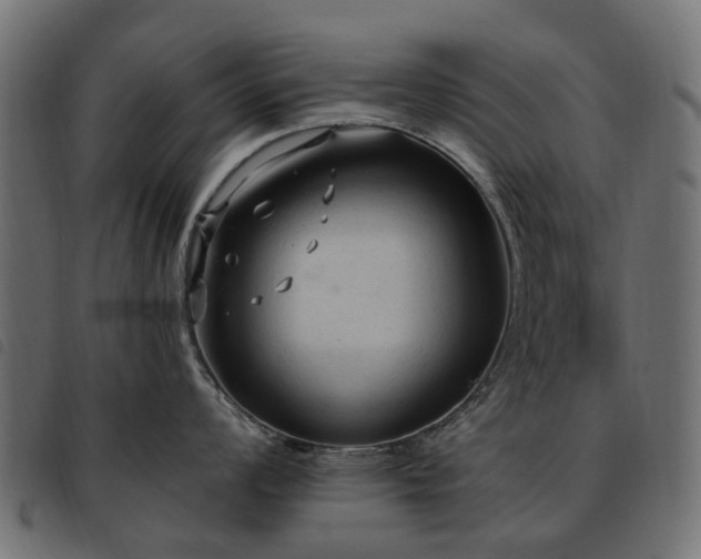 X0000093591008200710151200