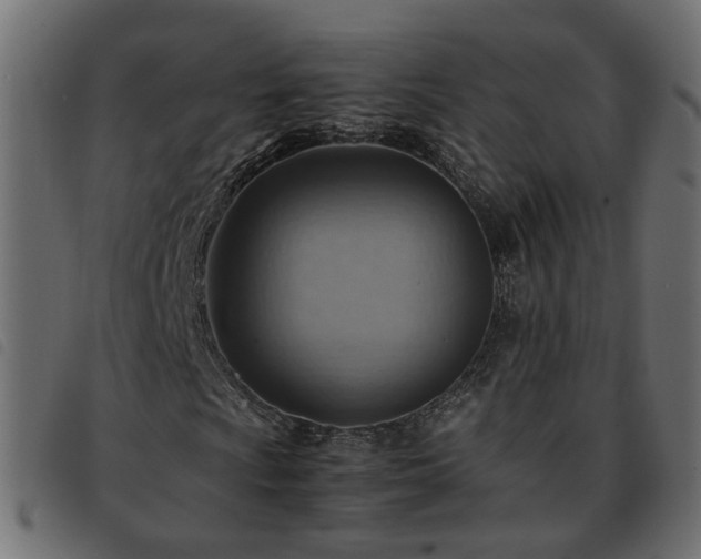 X0000093591009200710151200
