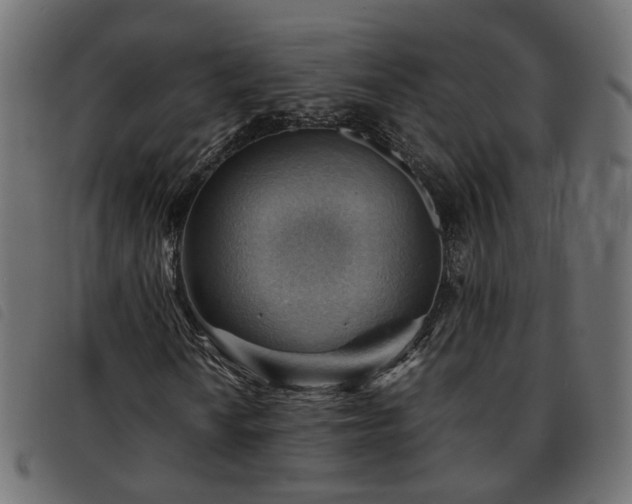 X0000093591010200710151200