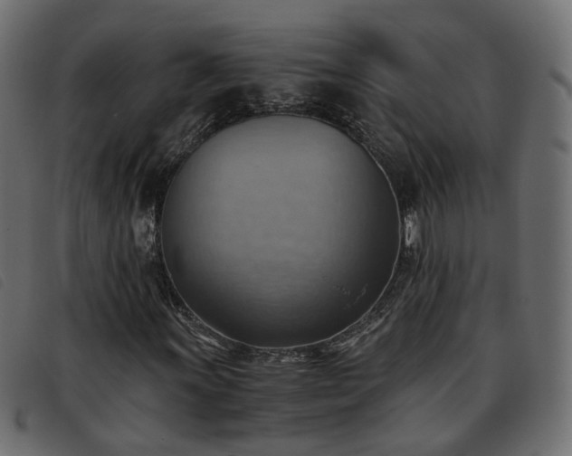 X0000093591011200710151200