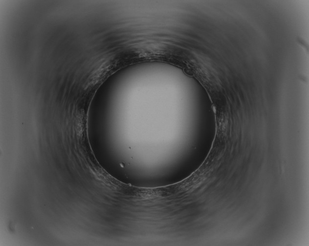 X0000093591012200710151200