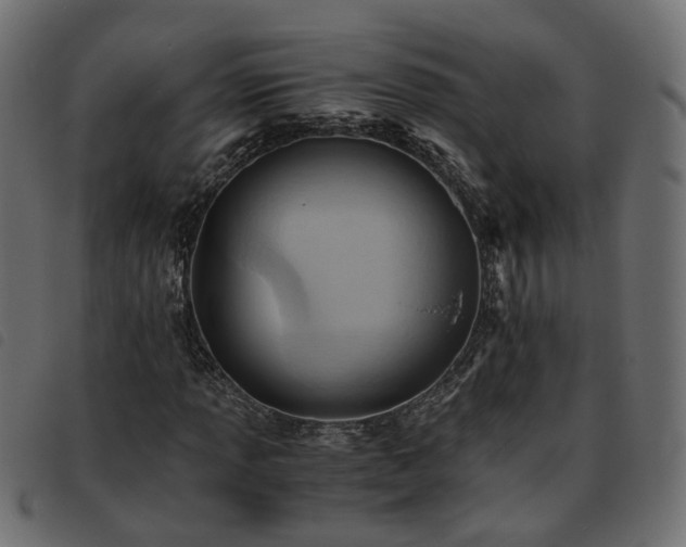 X0000093591013200710151200