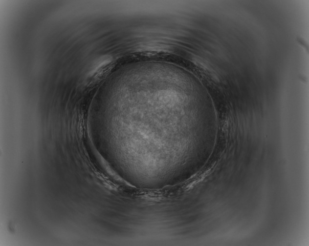 X0000093591014200710151200