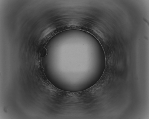 X0000093591015200710151200