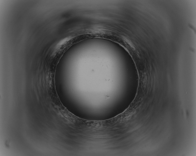 X0000093591016200710151200