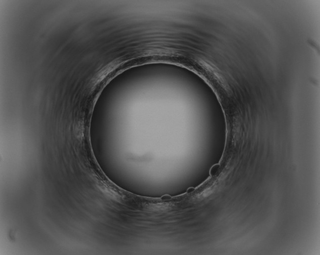 X0000093591017200710151200