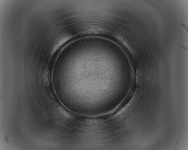 X0000093591018200710151200