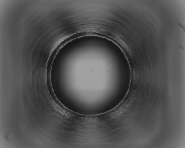 X0000093591020200710151200