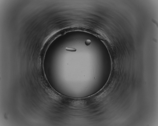 X0000093591021200710151200