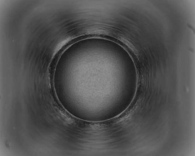 X0000093591022200710151200