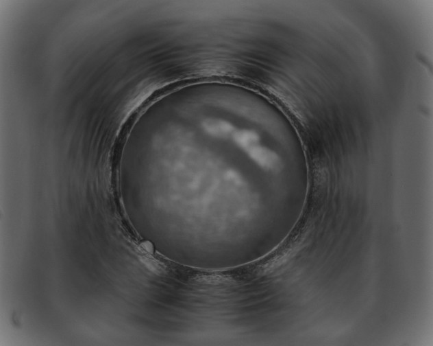 X0000093591023200710151200