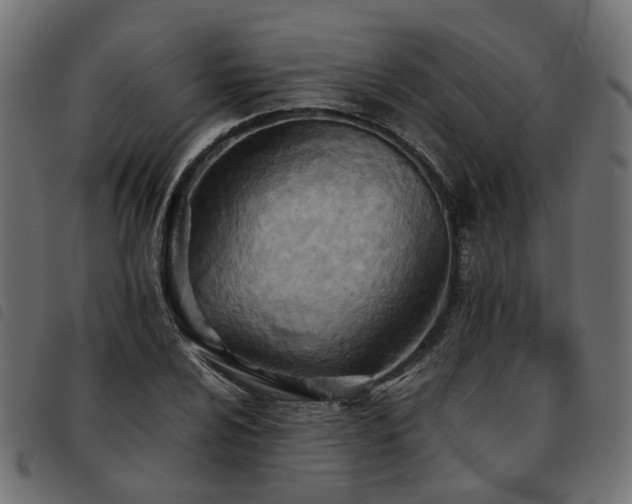X0000093591024200710151200