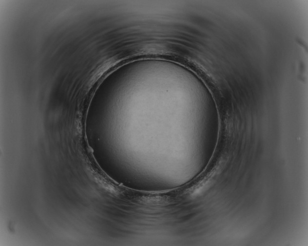 X0000093591025200710151200