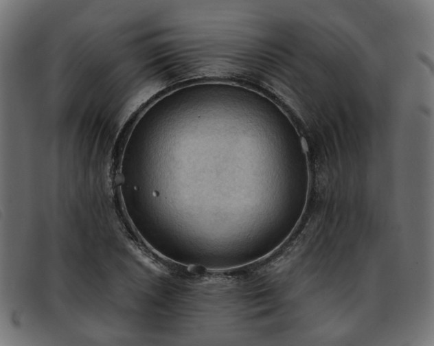 X0000093591026200710151200