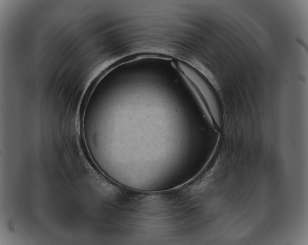 X0000093591028200710151200