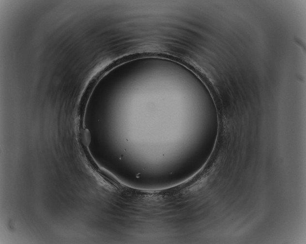 X0000093591029200710151200