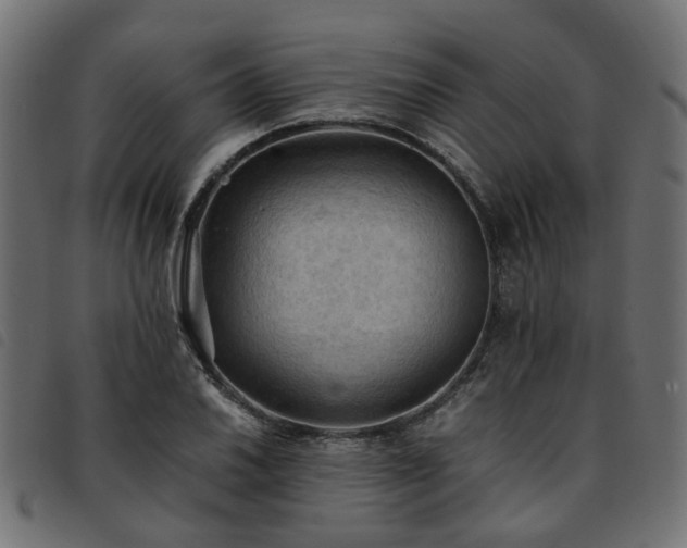X0000093591030200710151200
