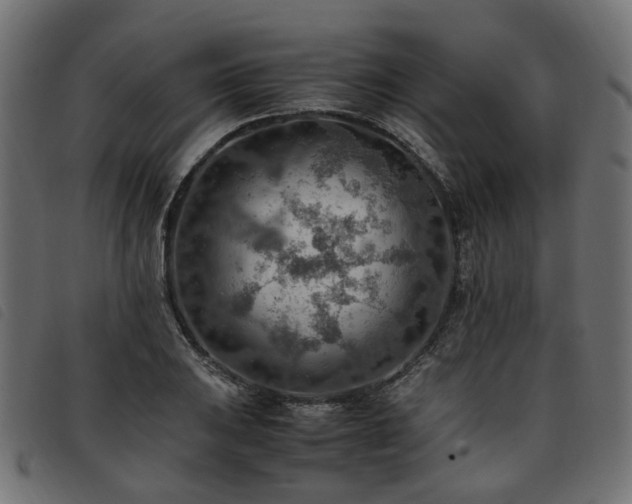 X0000093591031200710151200