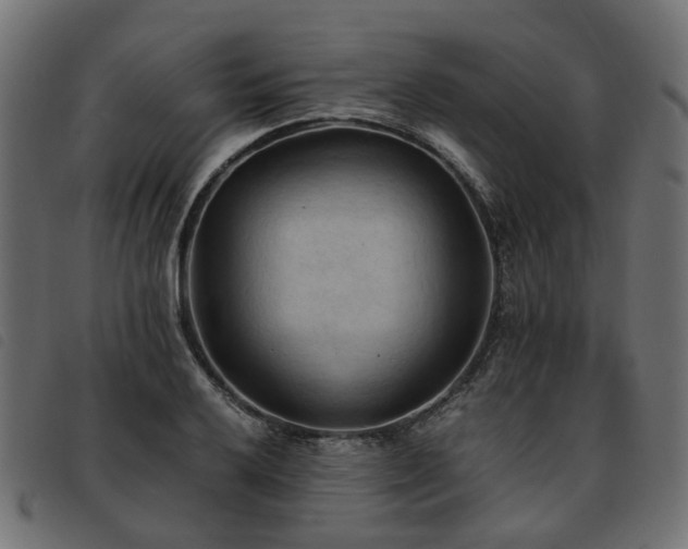 X0000093591032200710151200