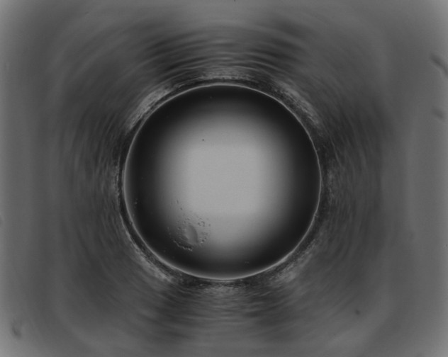 X0000093591033200710151200