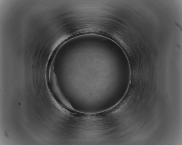 X0000093591034200710151200