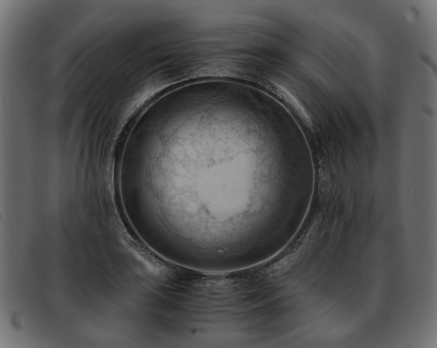 X0000093591035200710151200